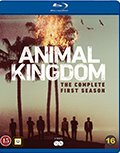 Animal Kingdom sæson 1 blu-ray anmeldelse