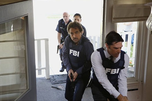 Criminal Minds sæson 9 dvd anmeldelse