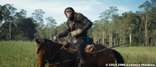 Kingdom of Planet of the Apes UHD 4K blu-ray anmeldelse