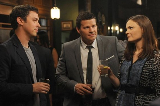 Bones sæson 9 dvd anmeldelse