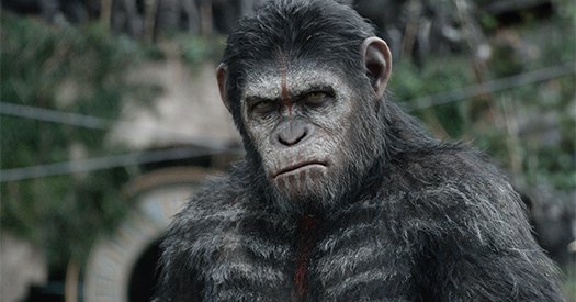 Dawn of the Planet of the Apes blu-ray anmeldelse