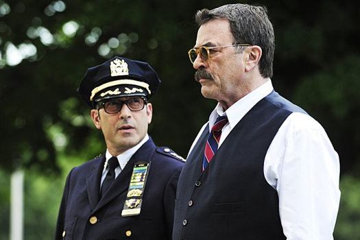 Blue bloods sæson 4 dvd anmeldelse